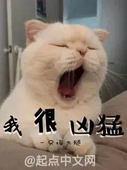 ŮϹٸ