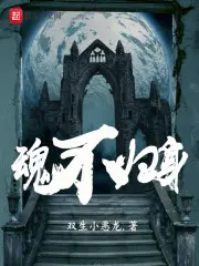 ˫